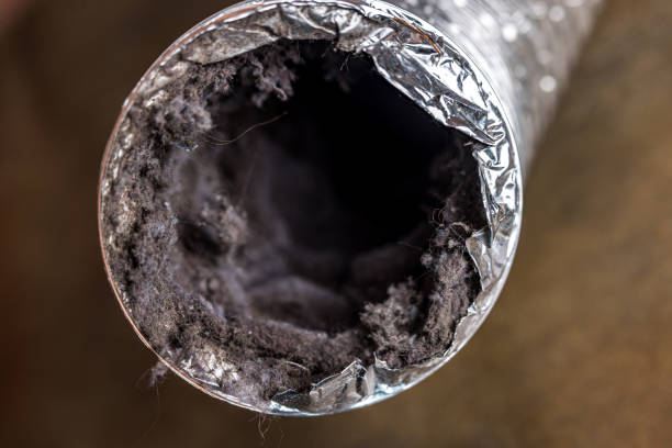 Best Home Air Vent Cleaning  in Glenwood Springs, CO
